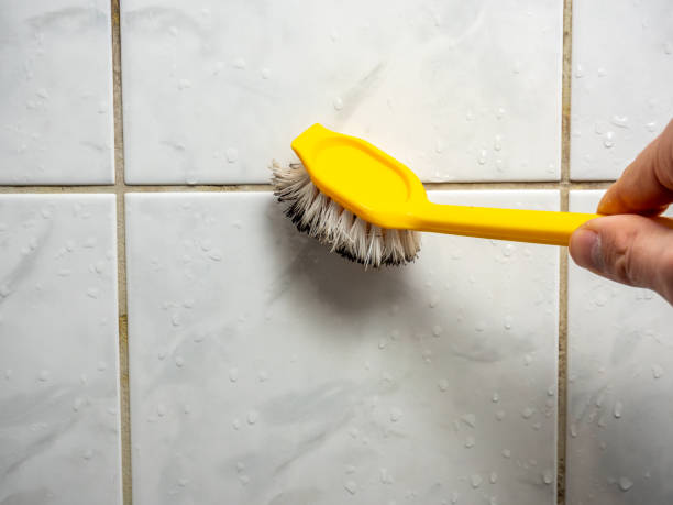 Best Home Mold Removal  in River Heights, UT
