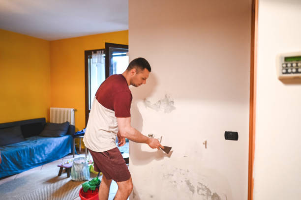 Best Black Mold Removal  in River Heights, UT